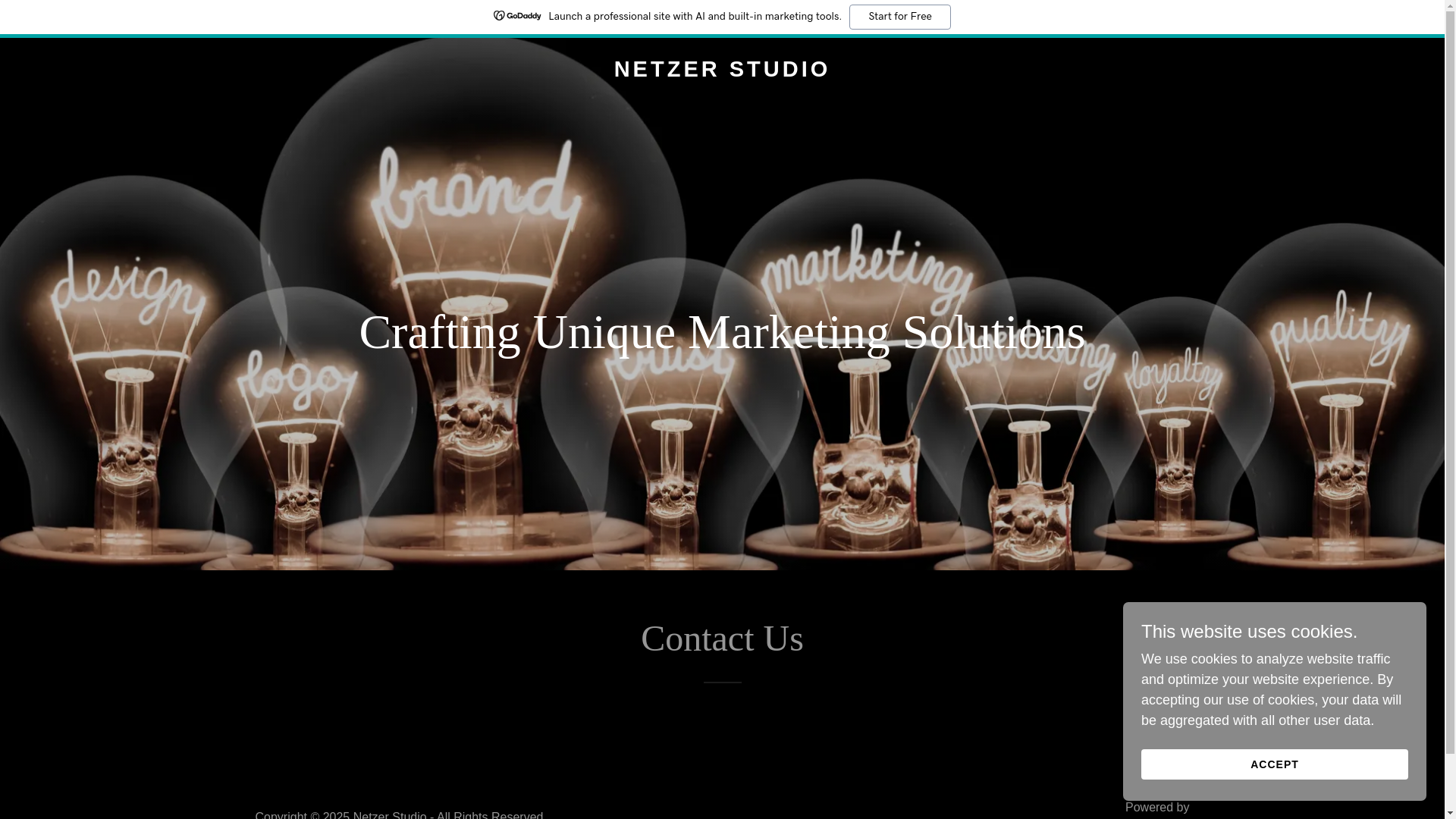 website screenshot of https://netzerstudio.com/