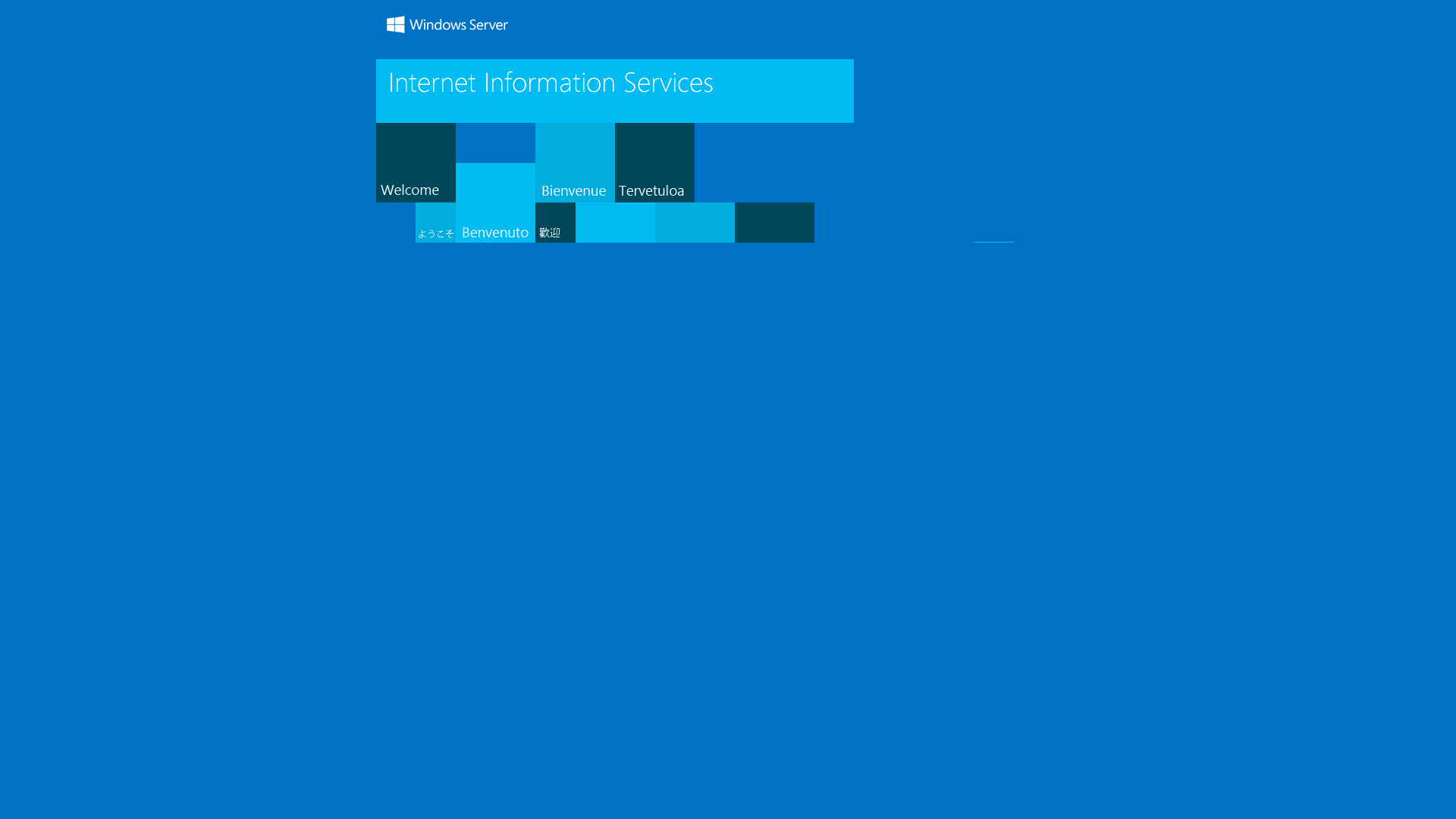 website screenshot of https://insanity6064.com/