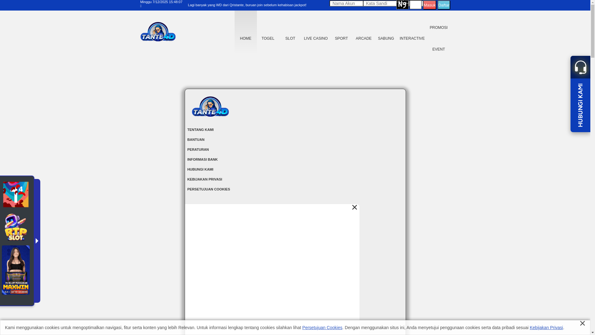 website screenshot of https://tante4d.mom/