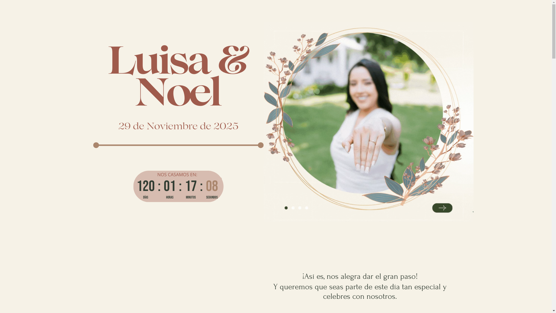 website screenshot of https://bodaluisaynoel.com/
