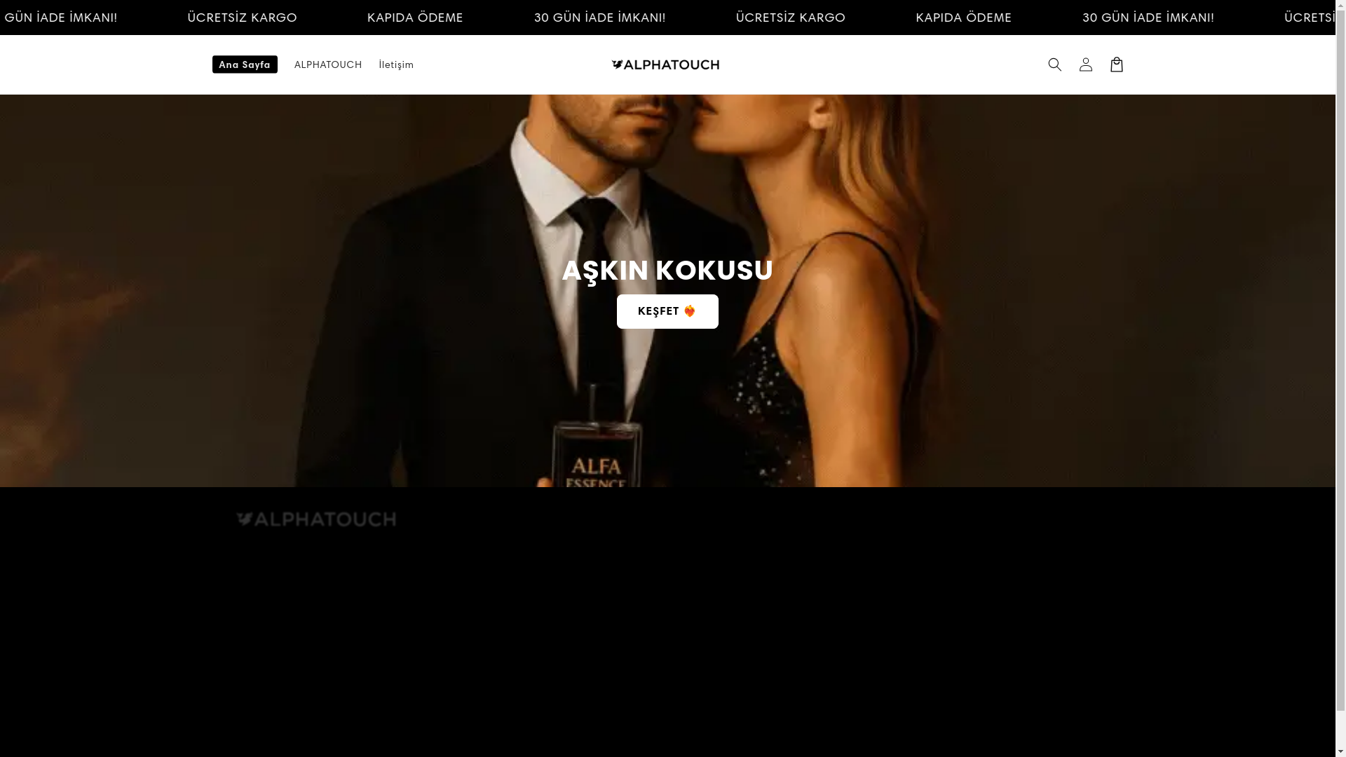 website screenshot of https://alphatouchi.com/