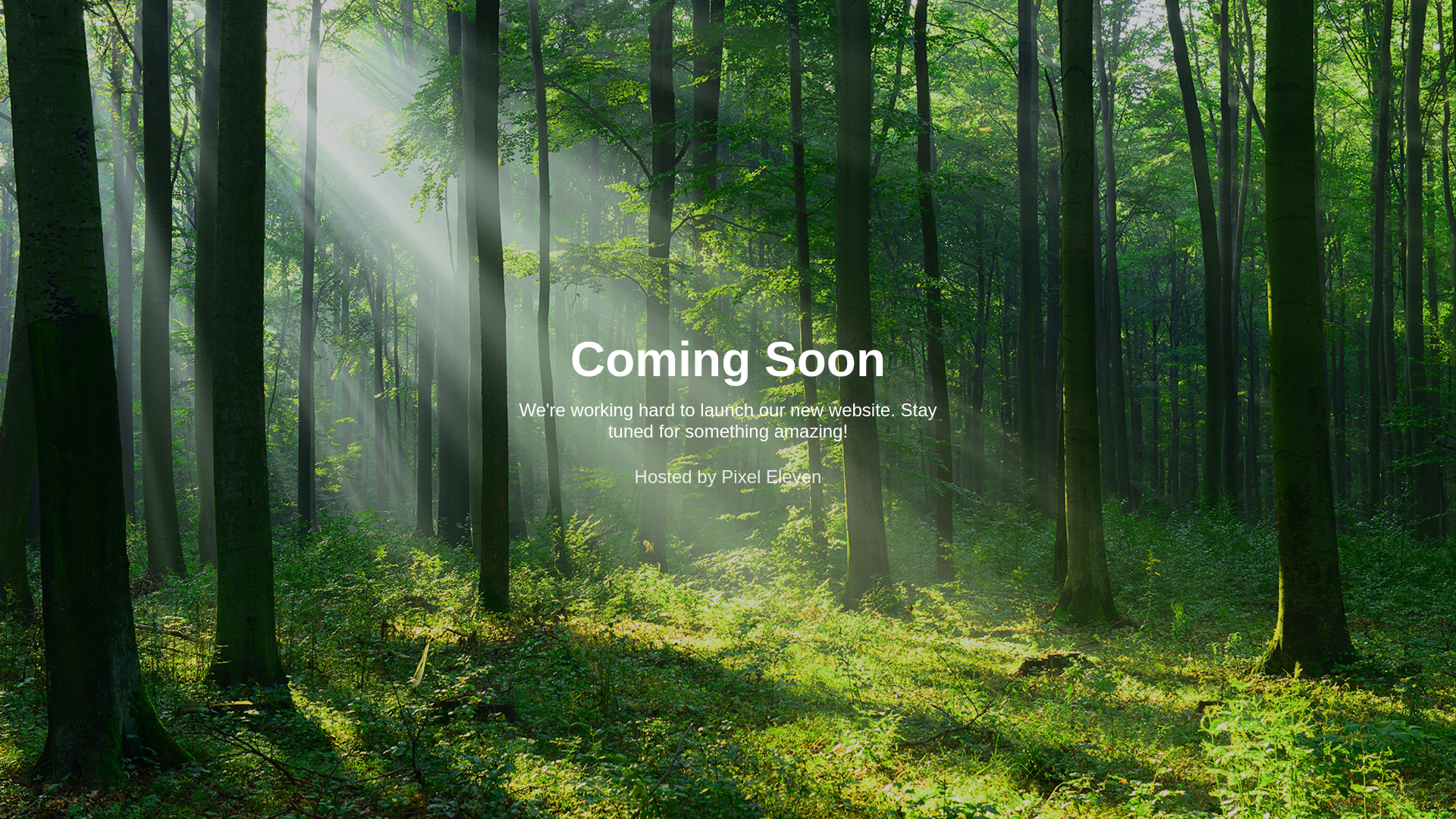 website screenshot of https://garcongourmand.com/