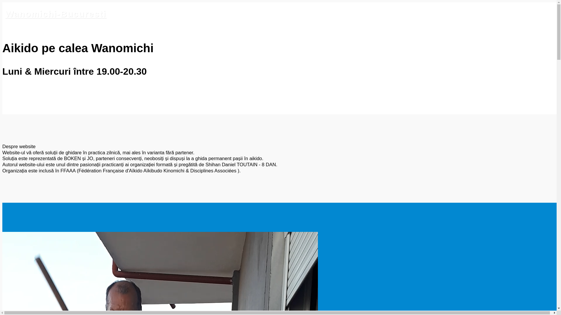 website screenshot of https://wanomichi-bucuresti.com/