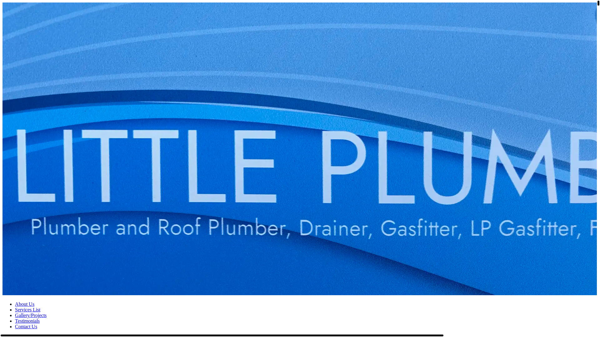 website screenshot of https://littleplumber5.online/