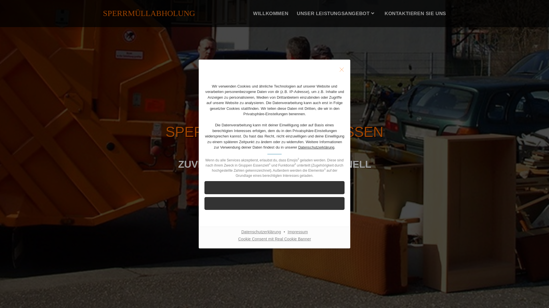 website screenshot of https://bsr-spermuellservice.com/