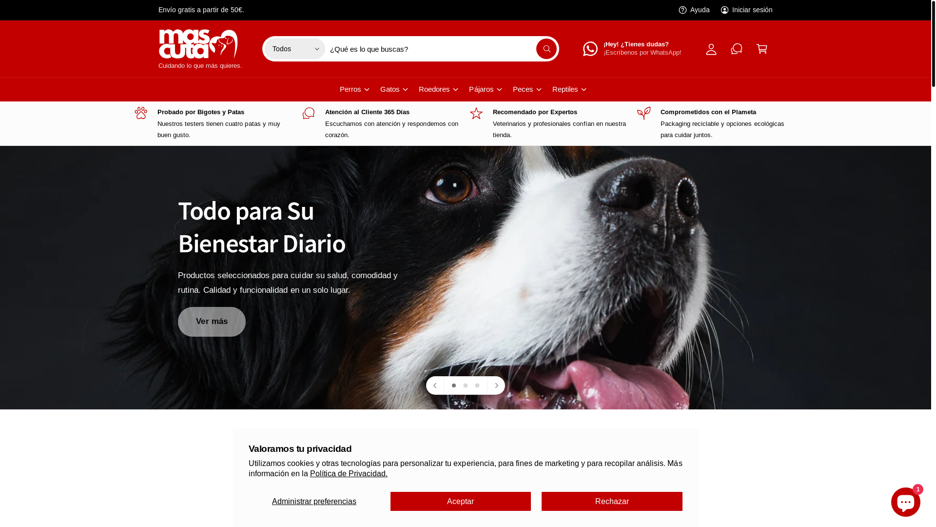 website screenshot of https://mascuta.fr/