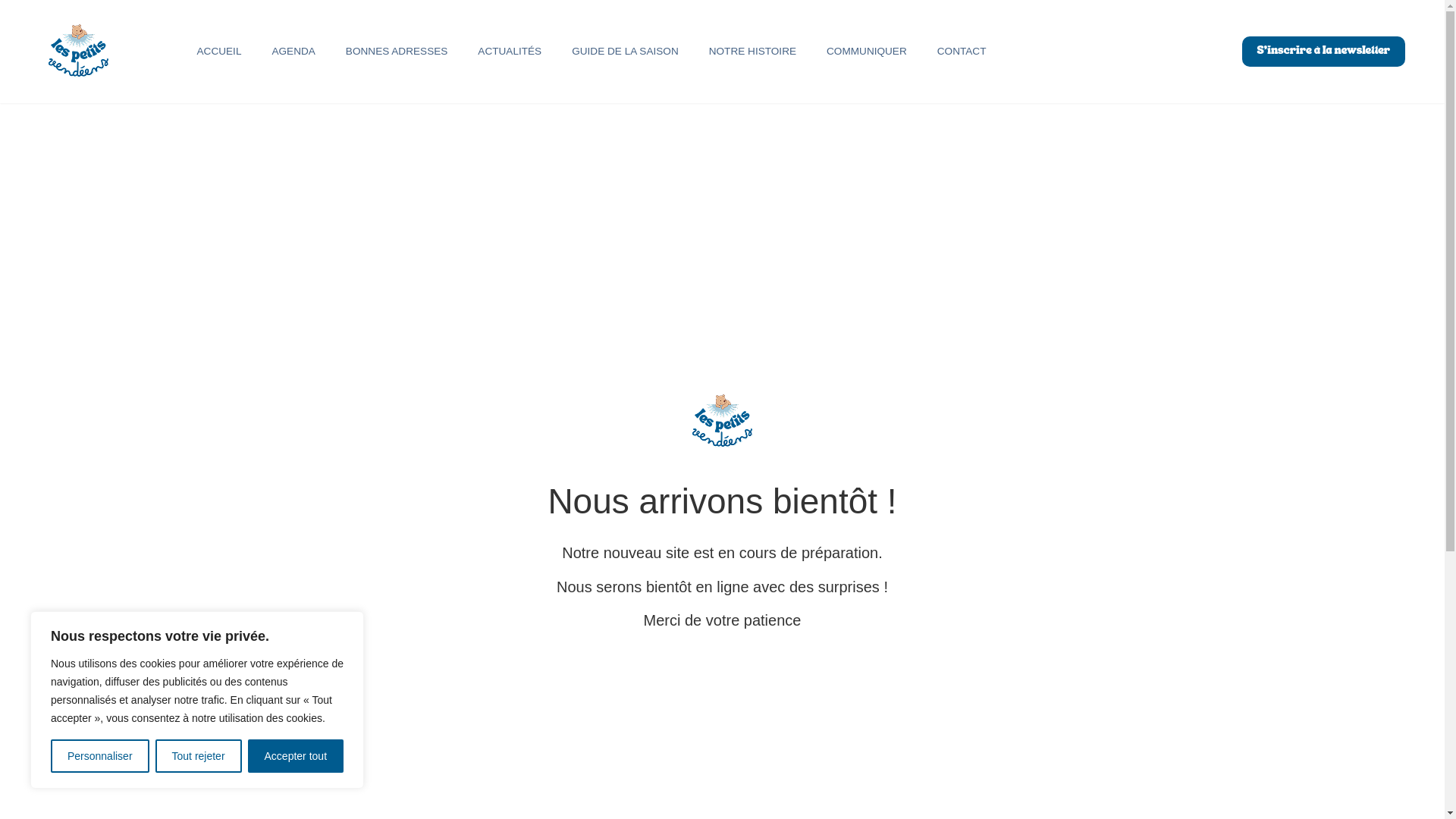 website screenshot of https://lespetitsvendeens.fr/