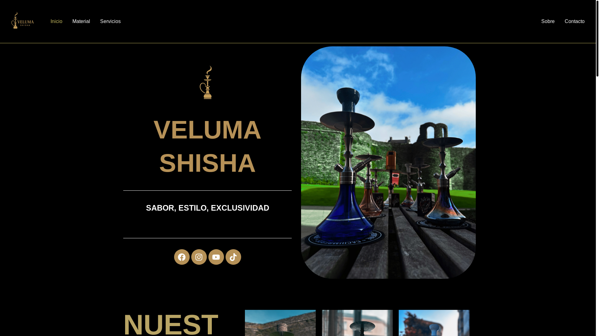 website screenshot of https://velumashisha.es/