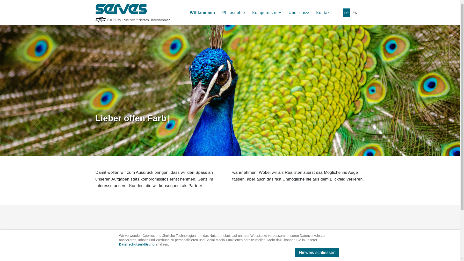 website screenshot of https://serves-audit.ch/