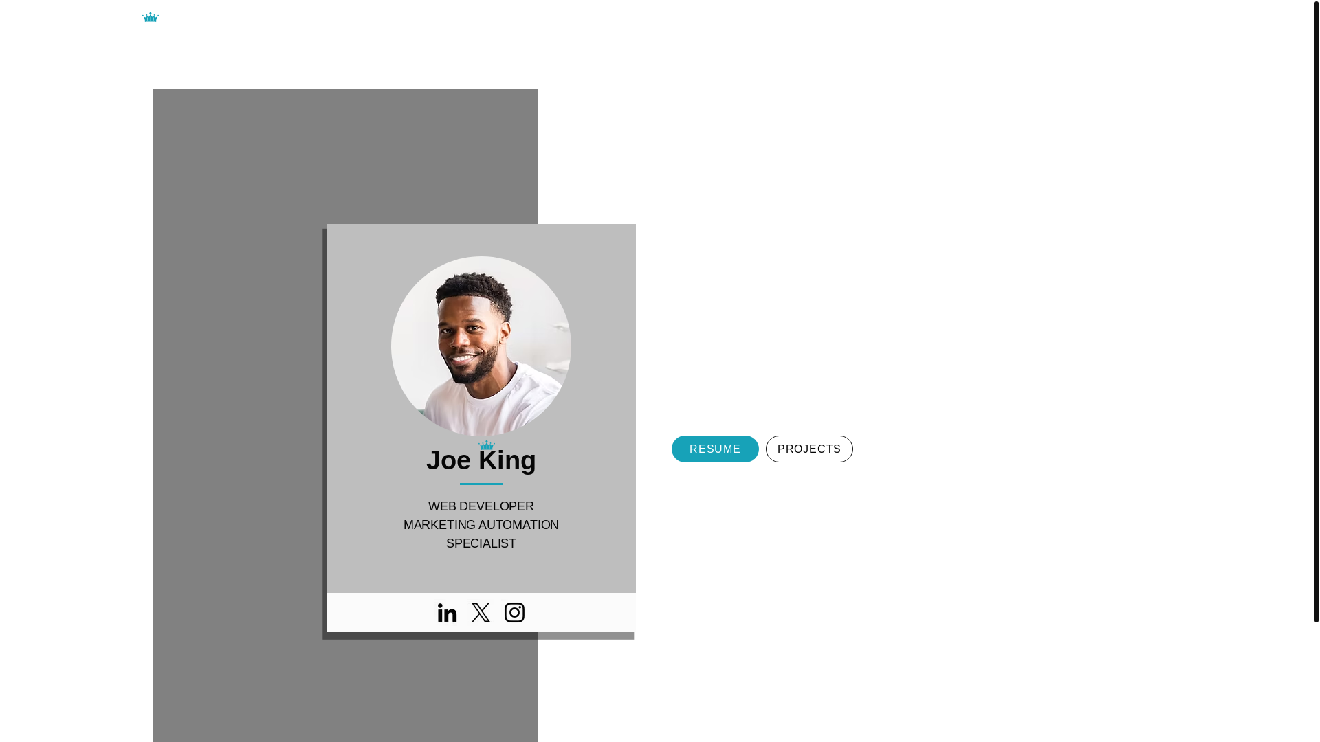 website screenshot of https://imonlyjoeking.com/