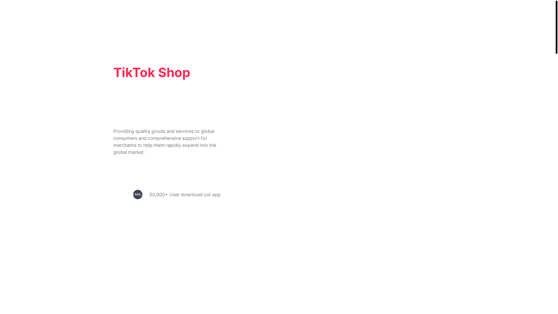 website screenshot of https://tk616.top/