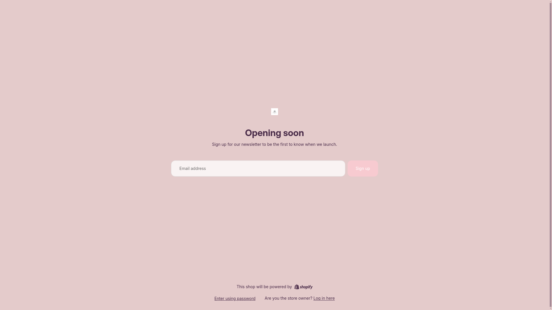 website screenshot of https://itsromancebookshop.com/