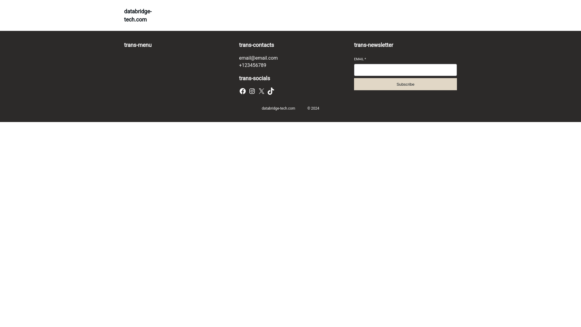 website screenshot of https://databridge-tech.com/