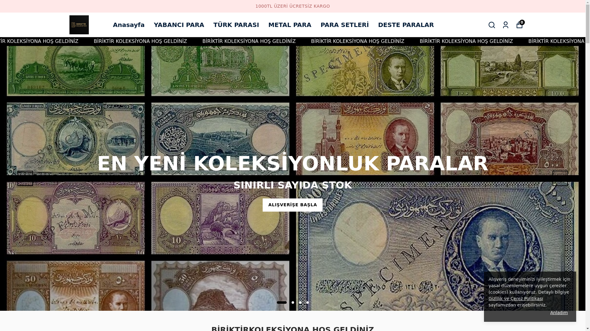 website screenshot of https://biriktirkoleksiyon.com/