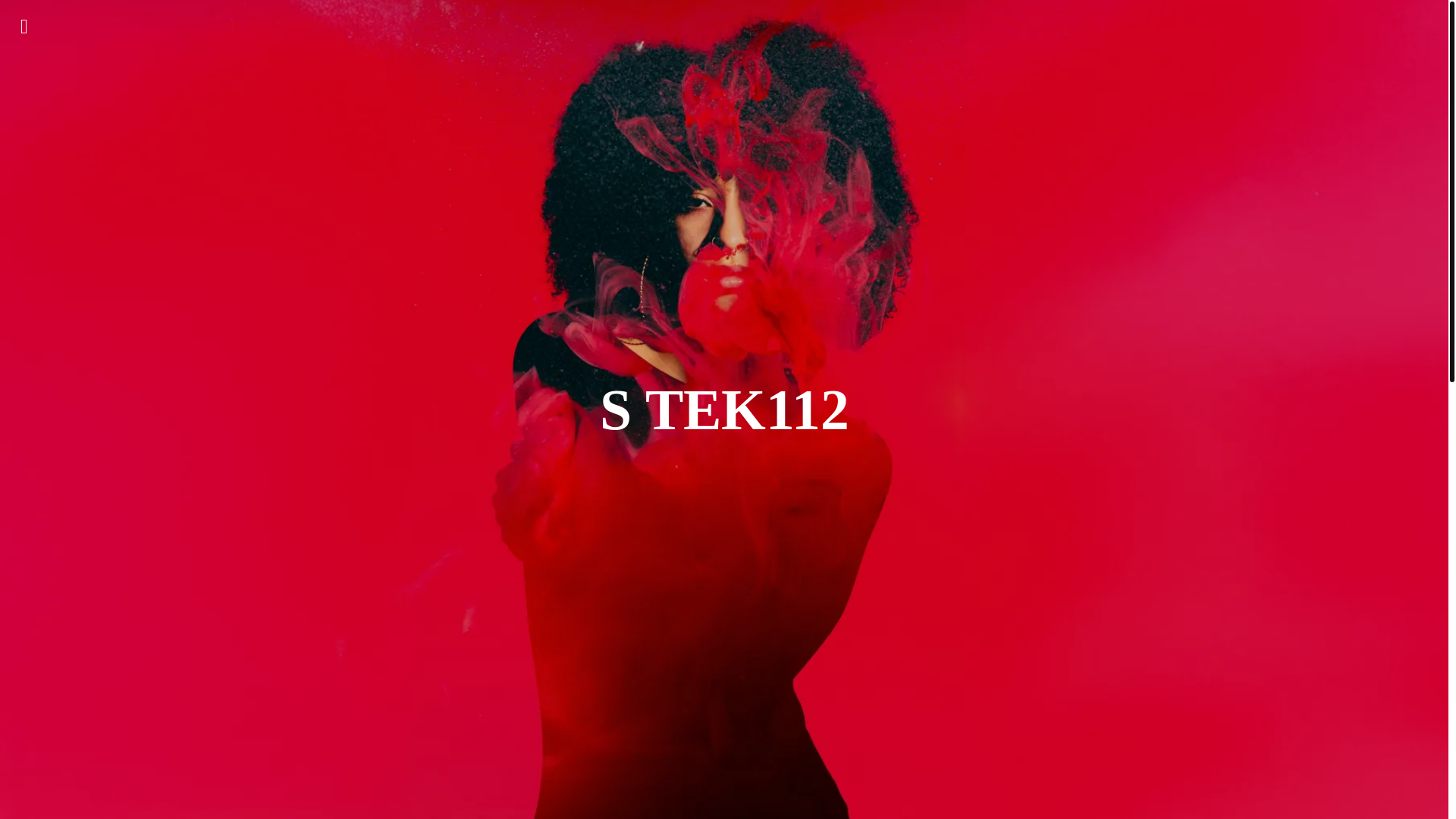 website screenshot of https://stek112.com/