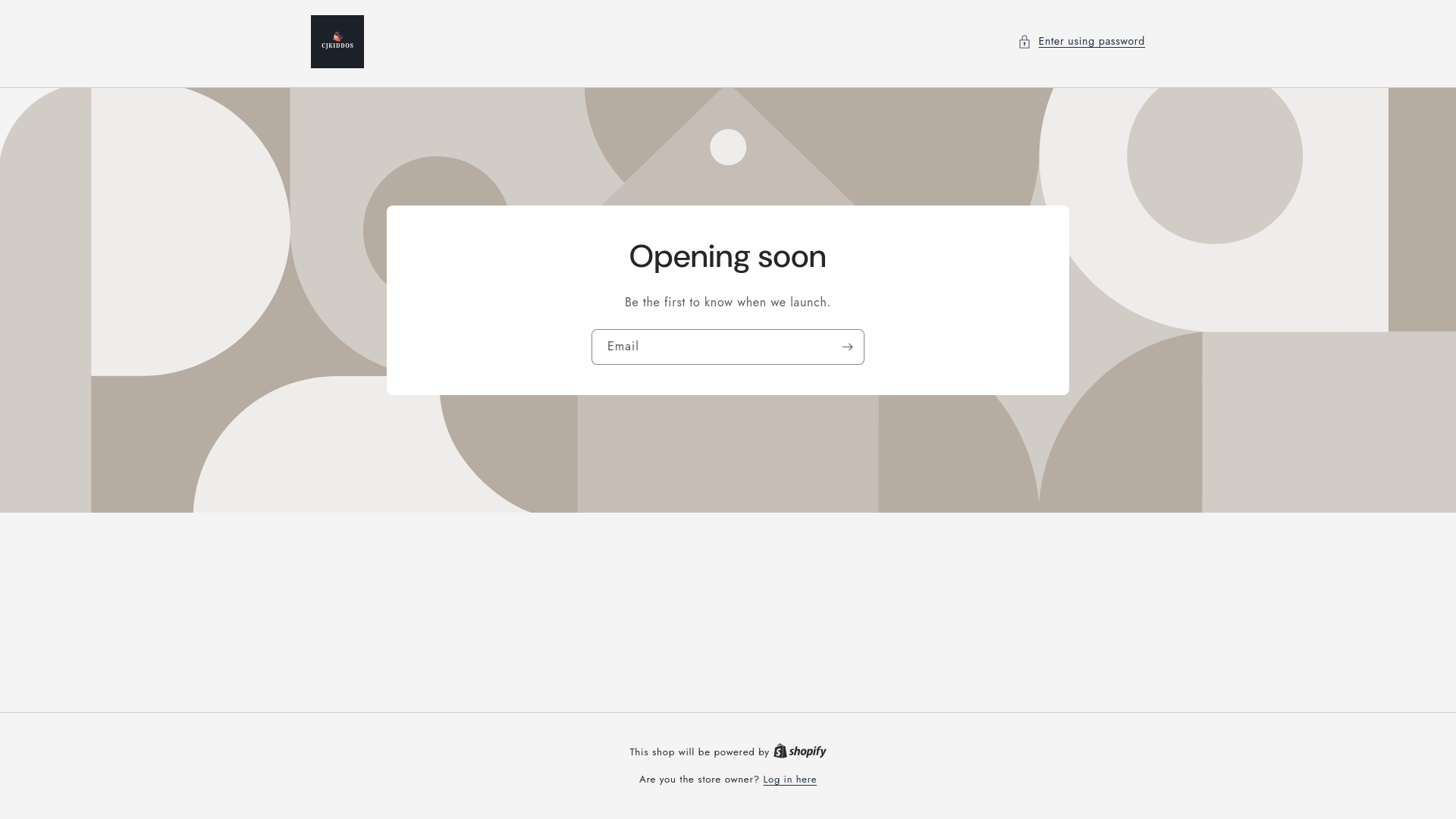 website screenshot of https://cjkiddos.com/