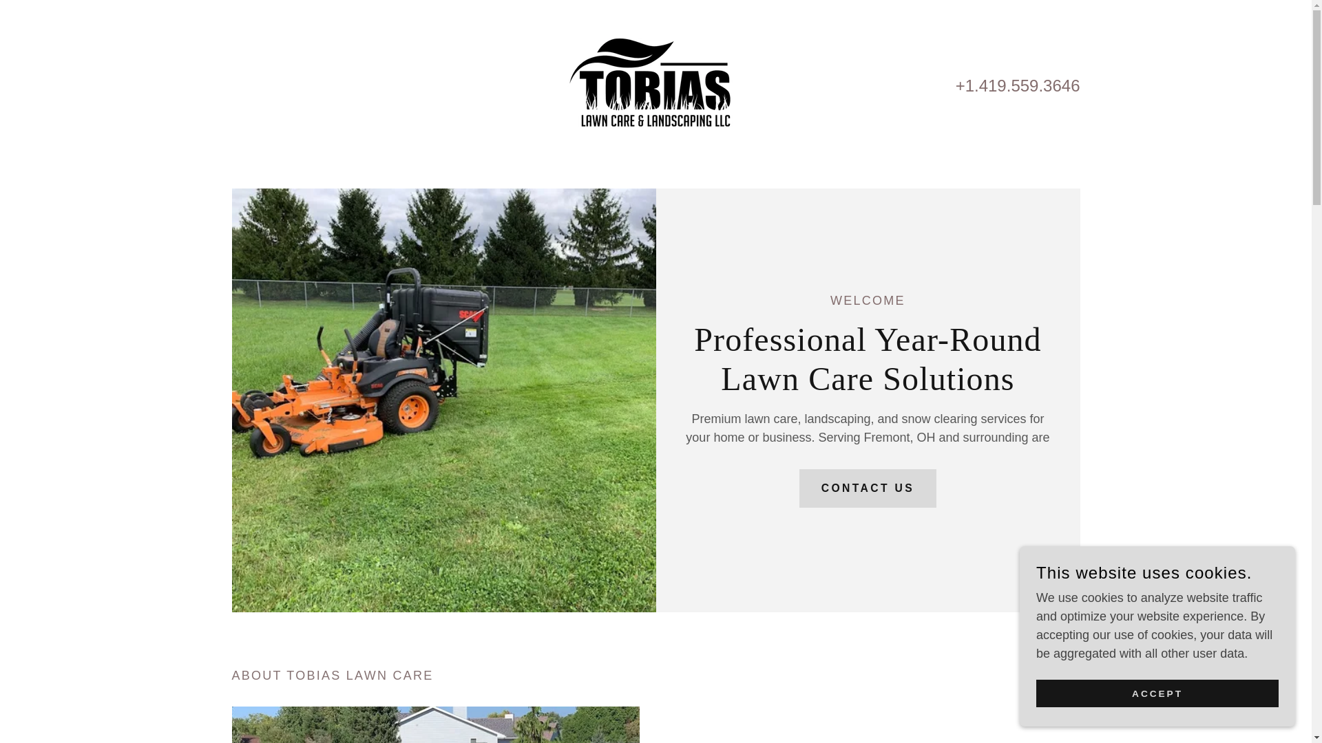 website screenshot of https://tobiaslawncareandlandscaping.com/