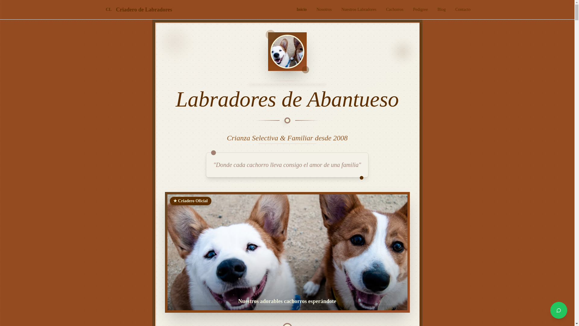 website screenshot of https://forever-friend-labradors.pages.dev/