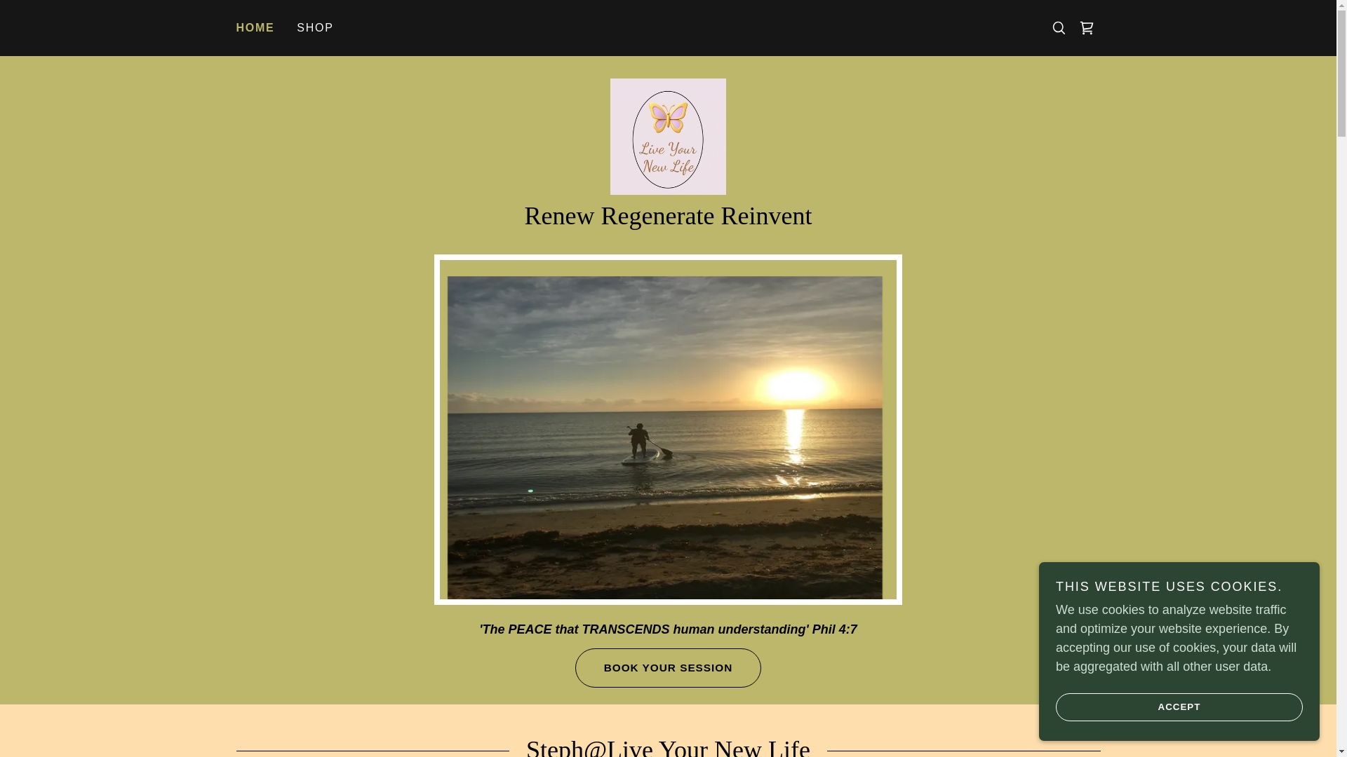 website screenshot of https://liveyournewlife.org/