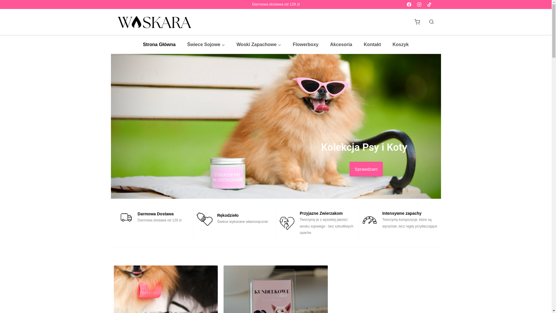 website screenshot of https://wioskara.pl/