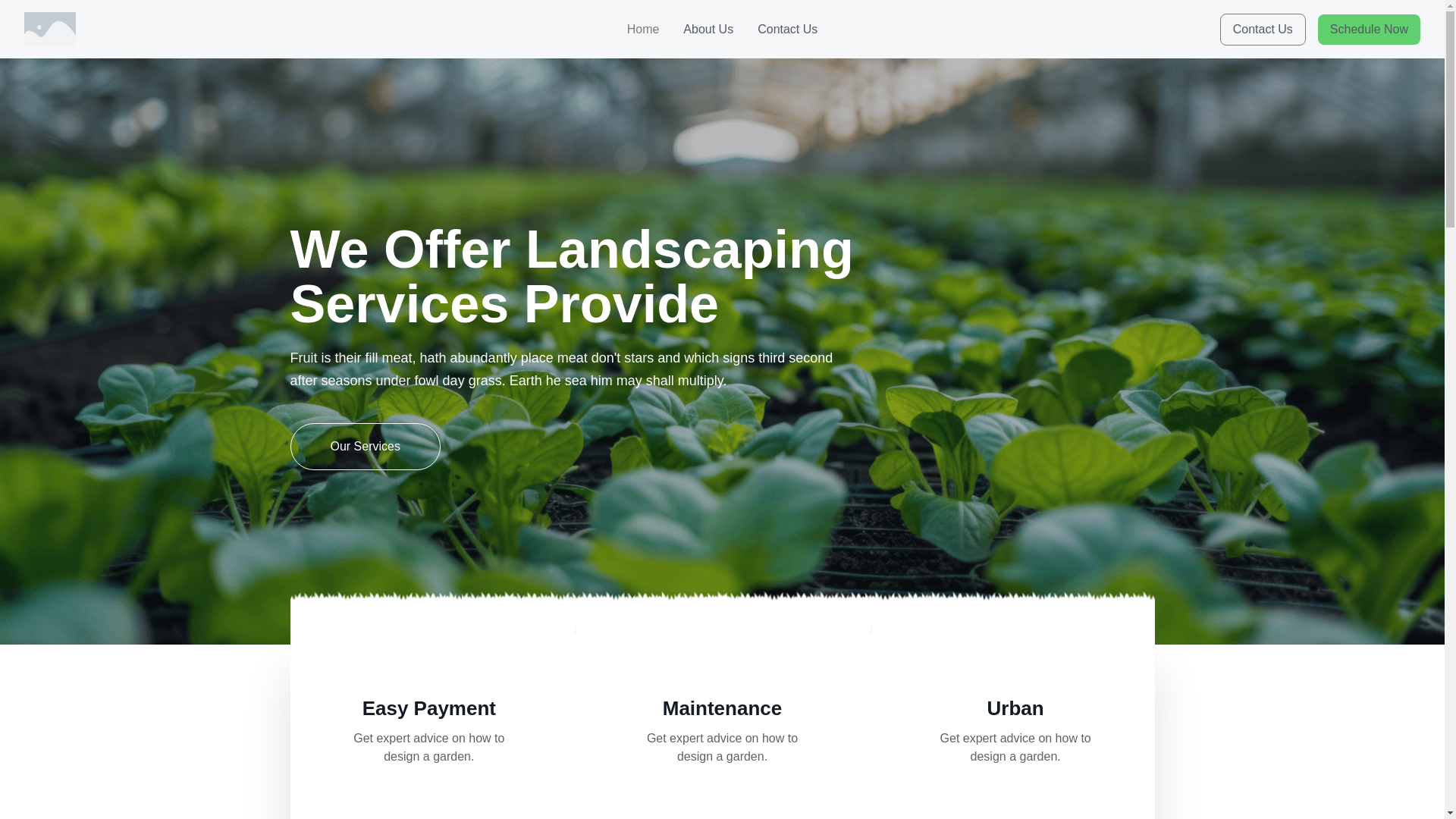 website screenshot of https://lightkingdomhouse.com/