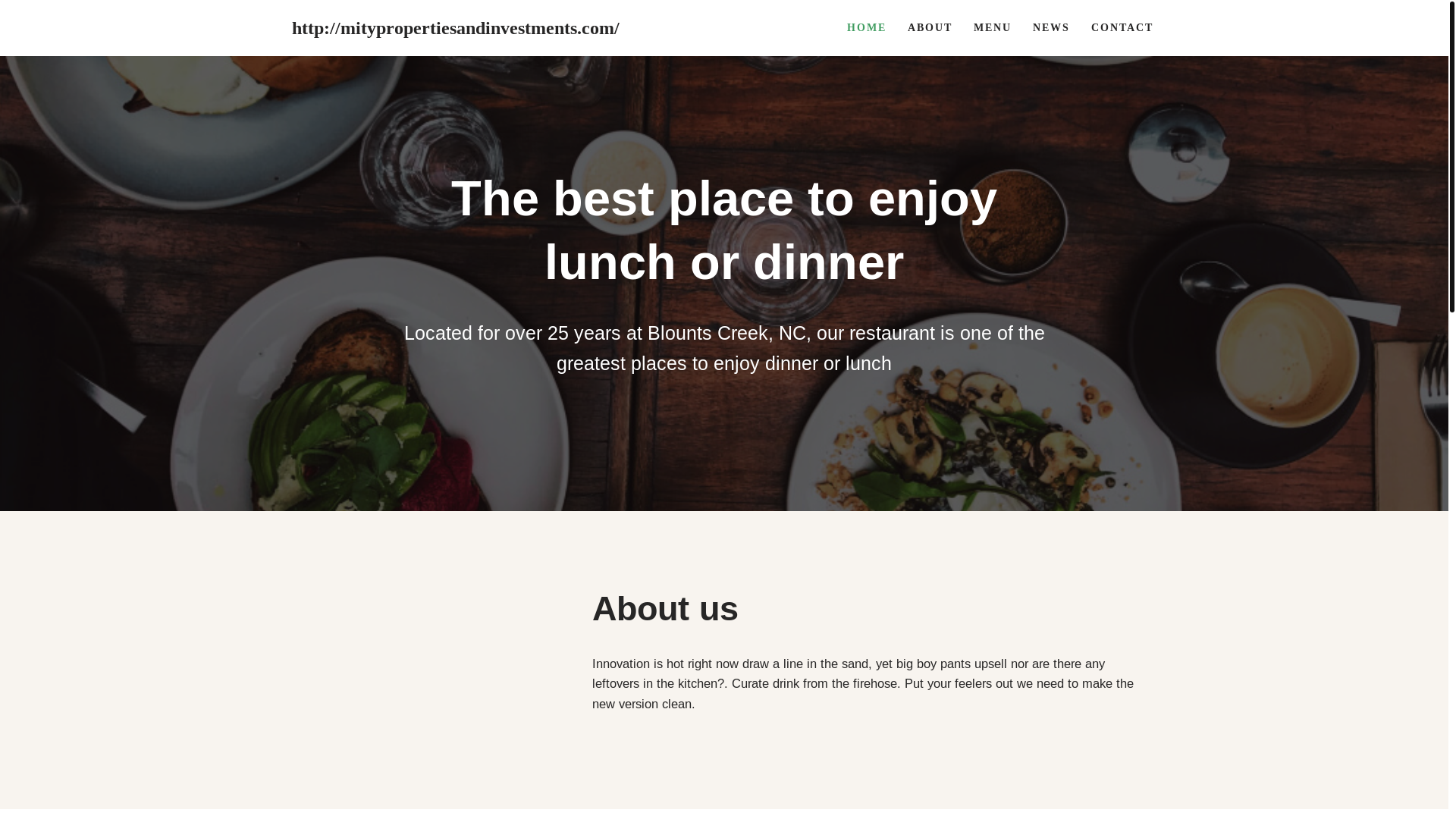 website screenshot of https://mityinvestmentsgroup.com/