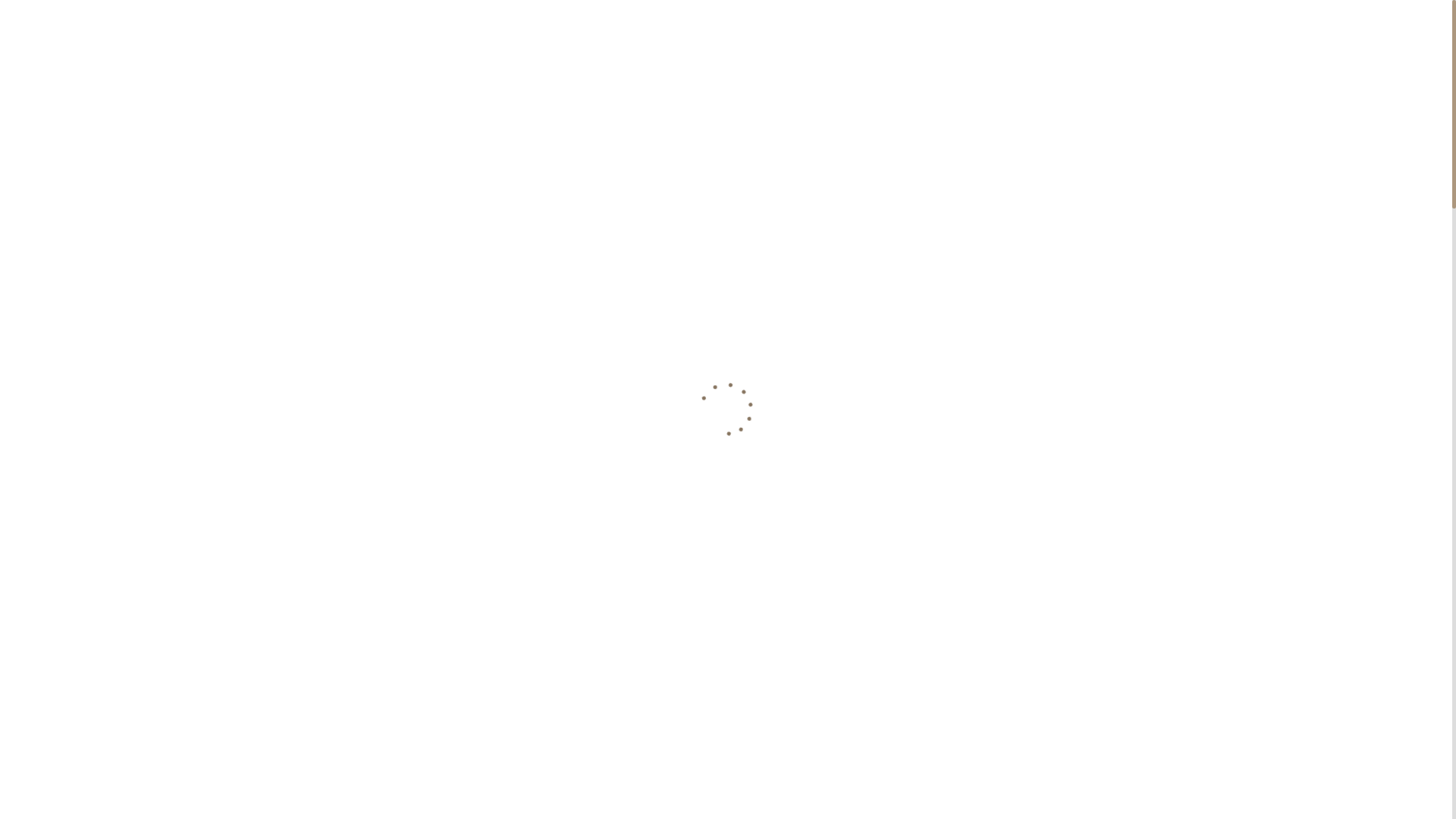 website screenshot of https://lansutextile.cn/