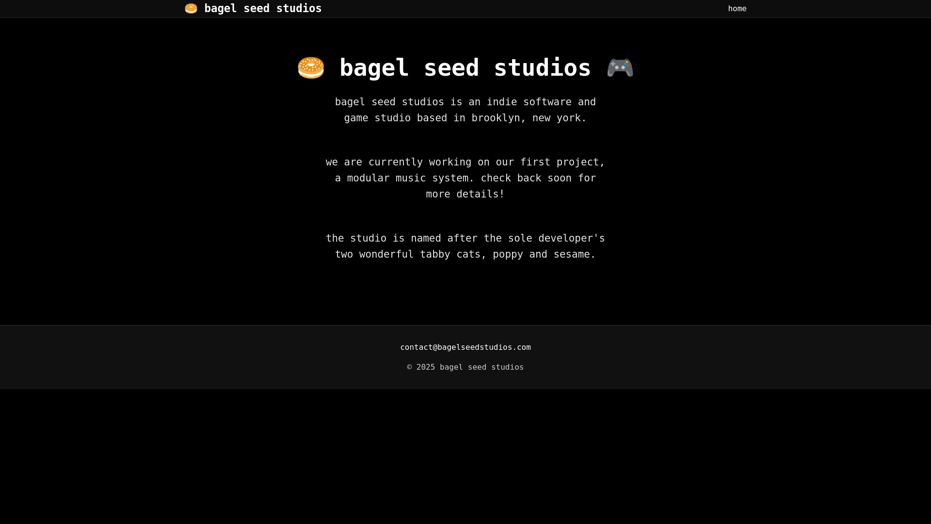 website screenshot of https://bagel-seed-studios-website.pages.dev/