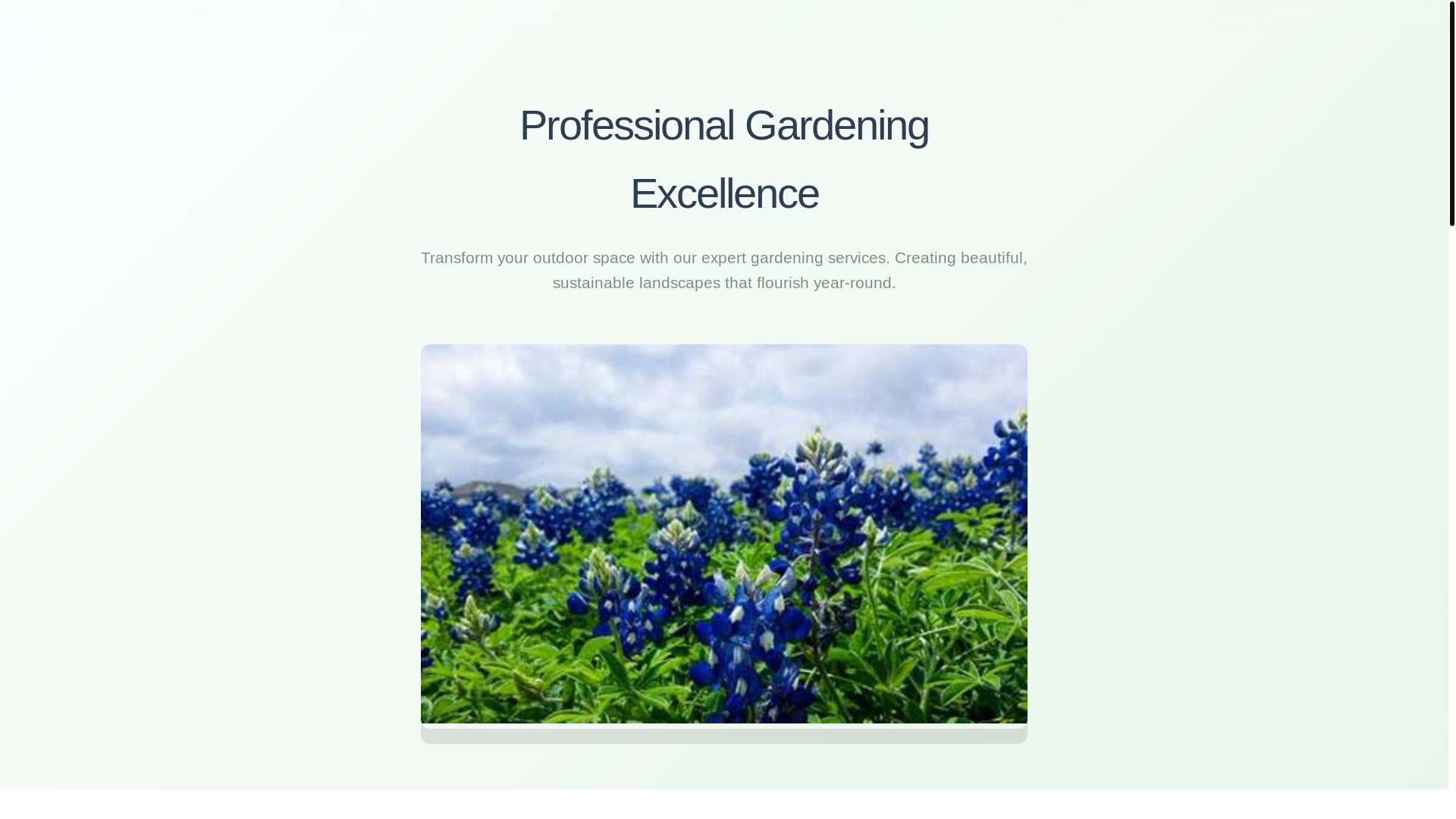 website screenshot of https://bloomcomplete.courses/