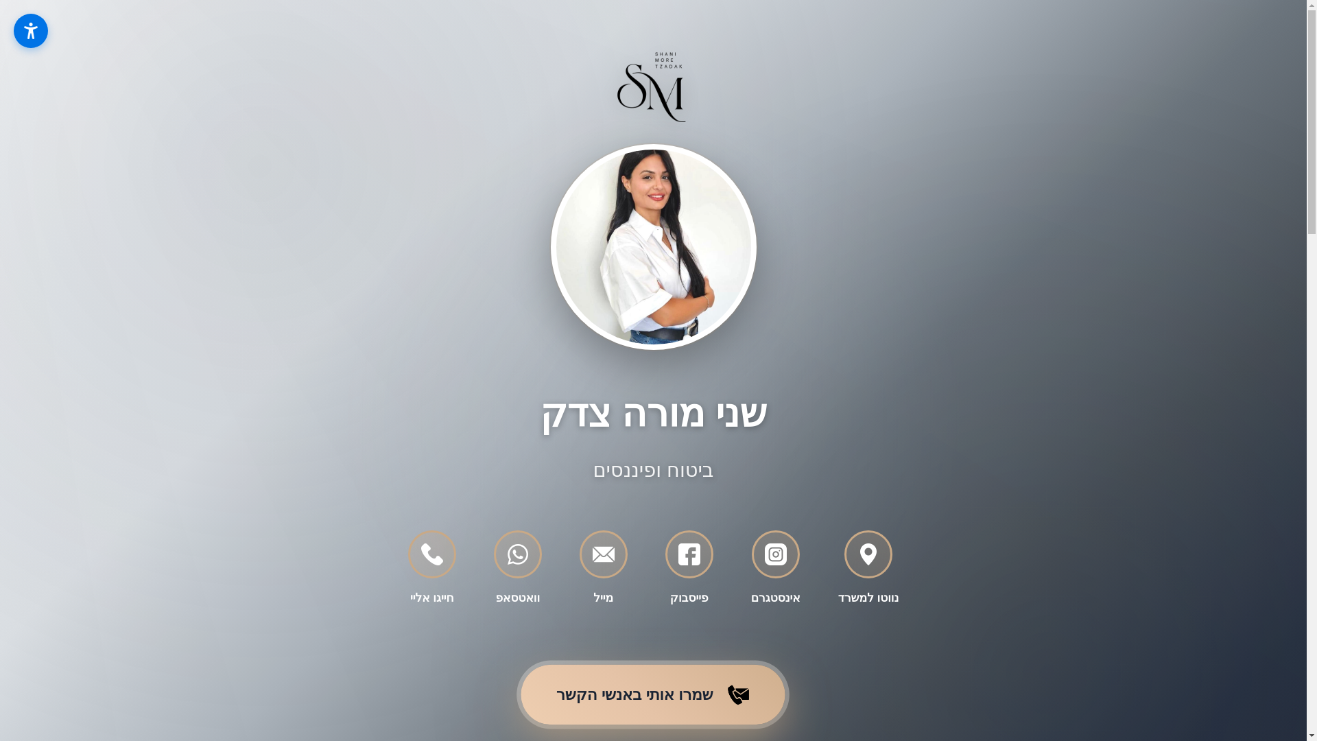 website screenshot of https://shani-finance.co.il/