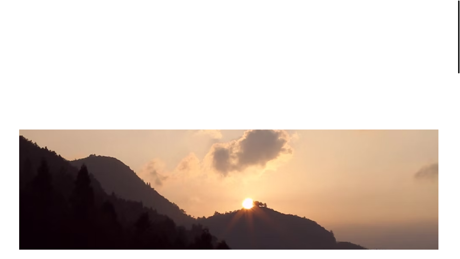 website screenshot of https://inbloomtearoom.com/