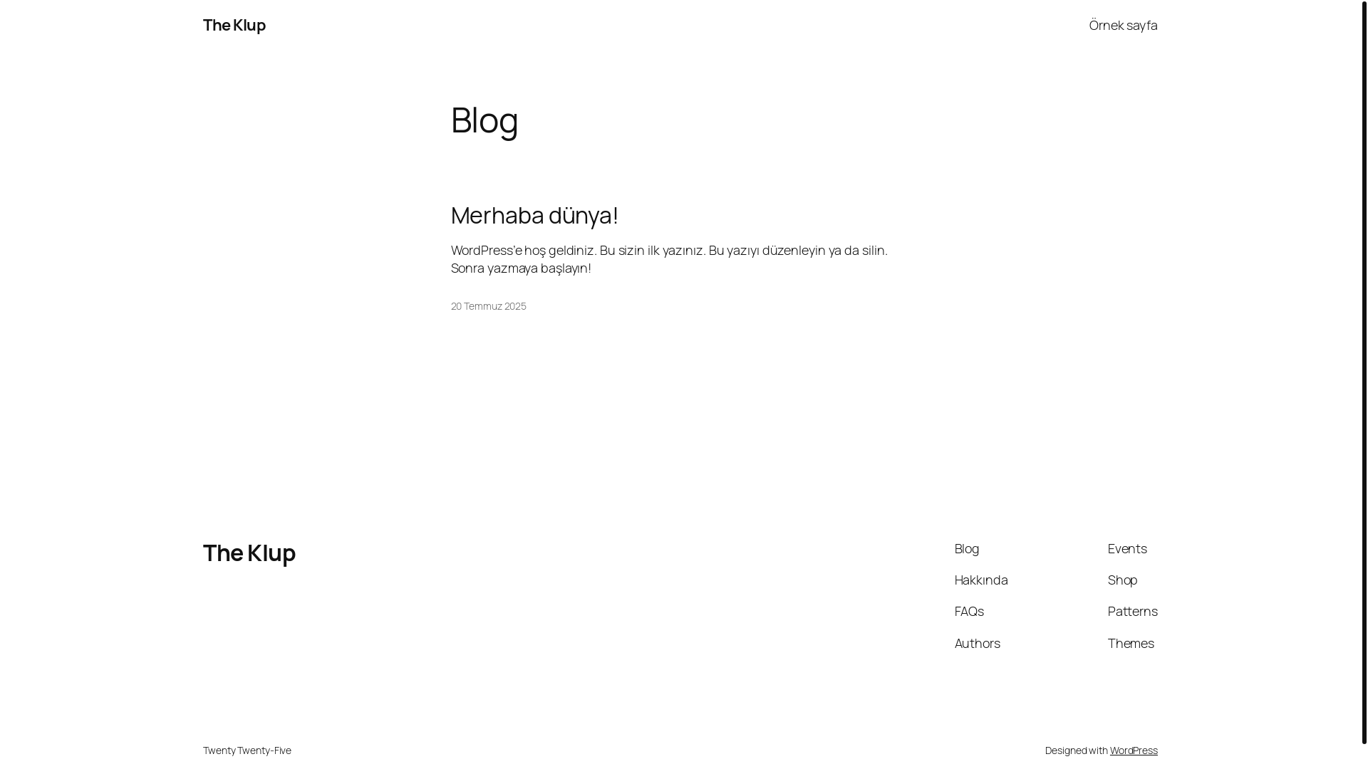 website screenshot of https://theklup.com/