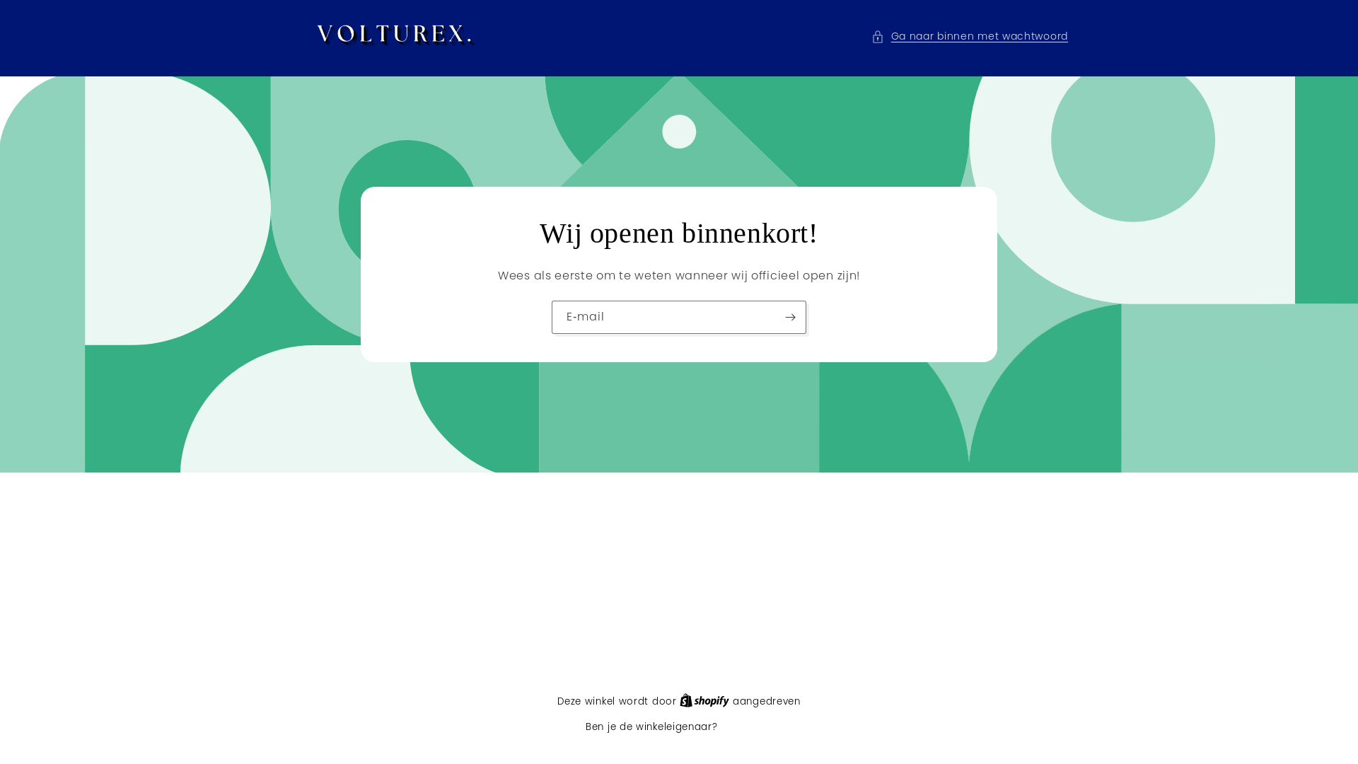 website screenshot of https://volturex.nl/