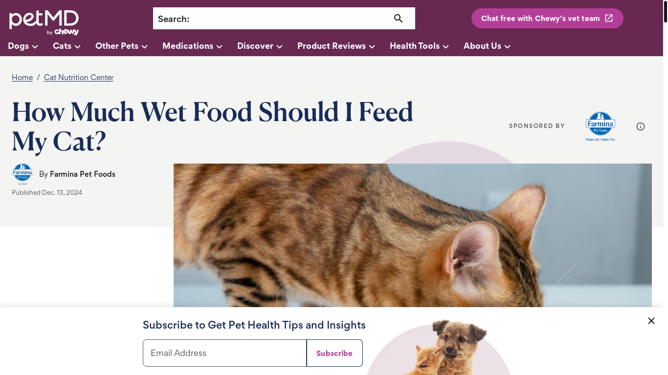 website screenshot of https://www.petmd.com/cat/nutrition/how-calculate-how-much-wet-food-feed-cat