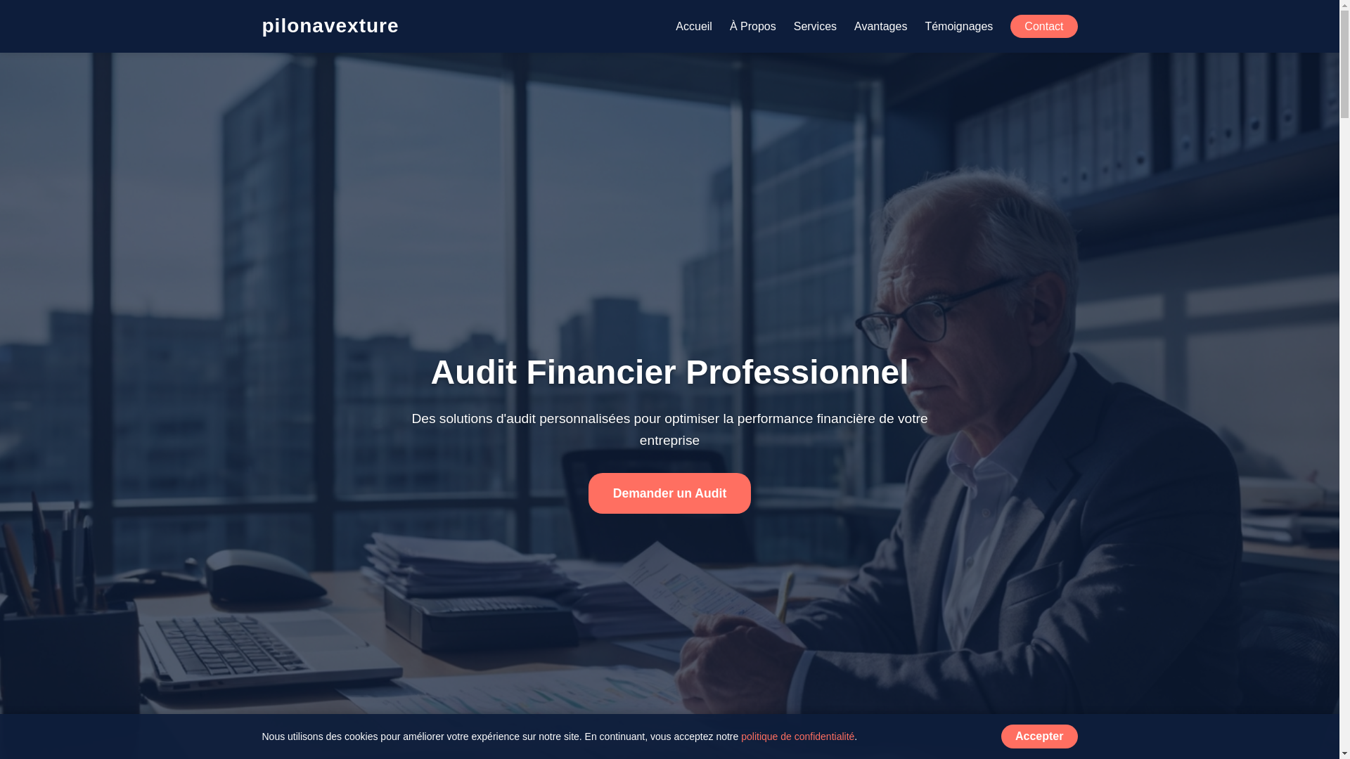 website screenshot of https://pilonavexture.com/