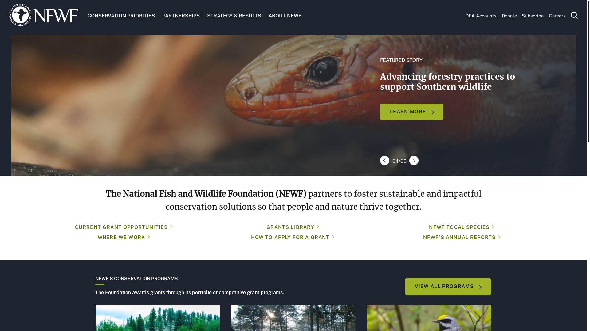 website screenshot of https://wildlifeconservation.ai/