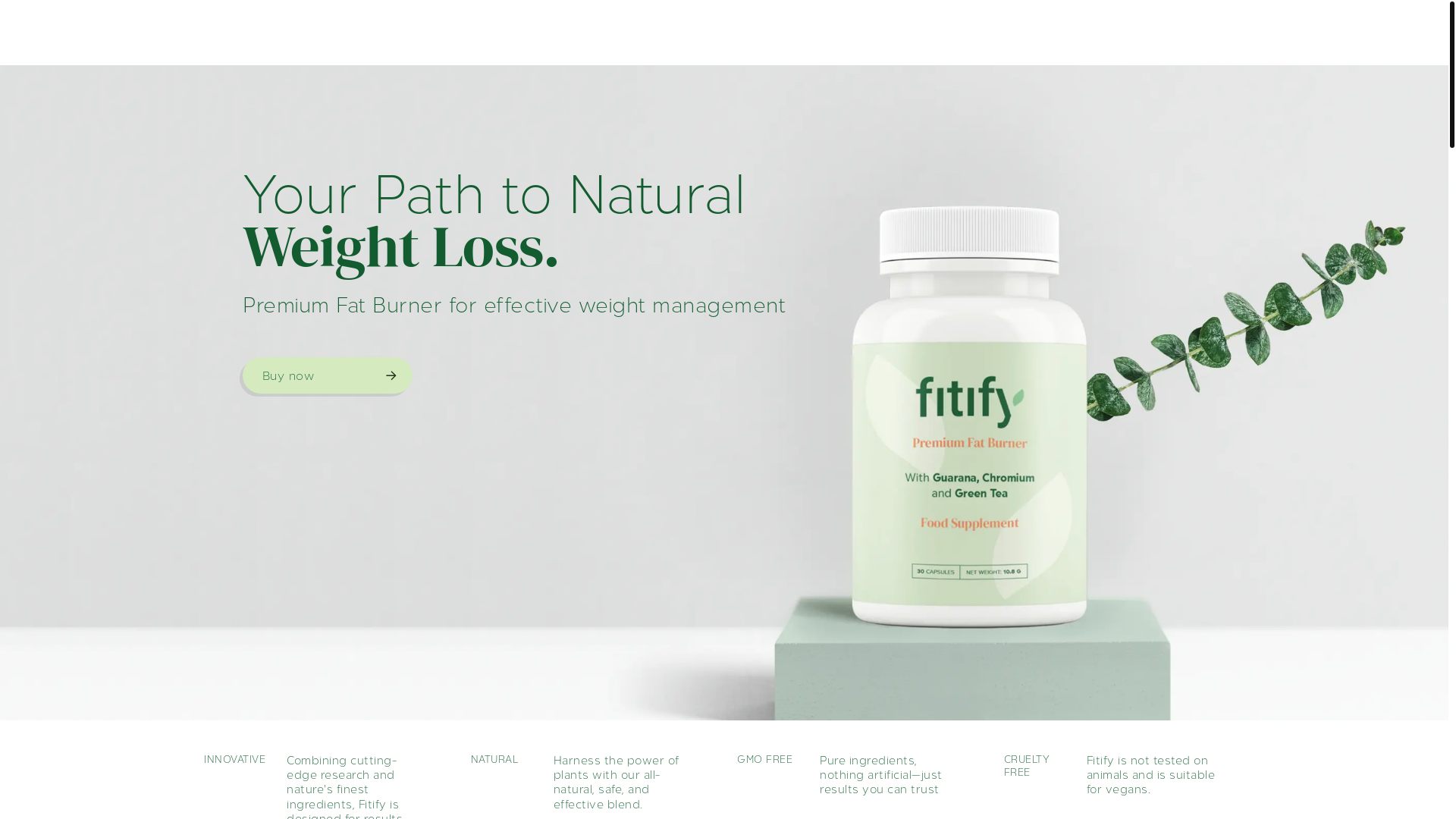 website screenshot of https://get-fitify-com.pages.dev/