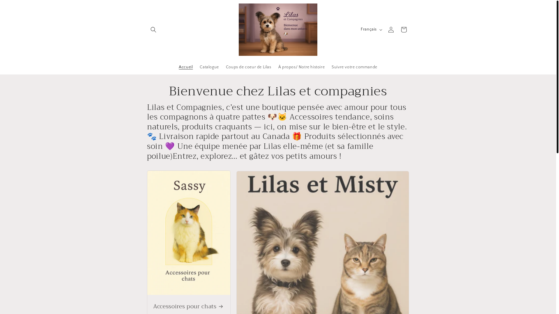 website screenshot of https://maboutiquelilasetcompagnies.com/