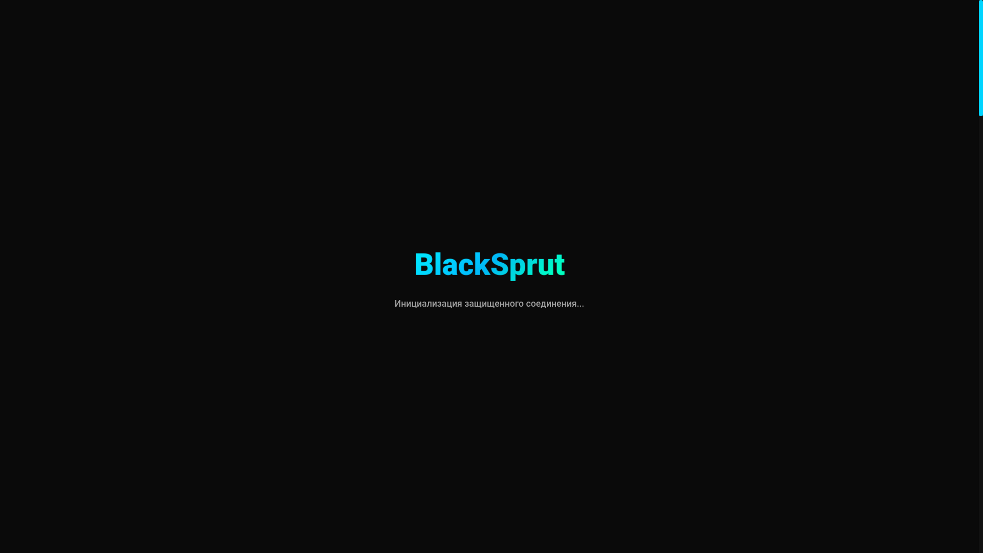 website screenshot of https://blckksprutt.xyz/