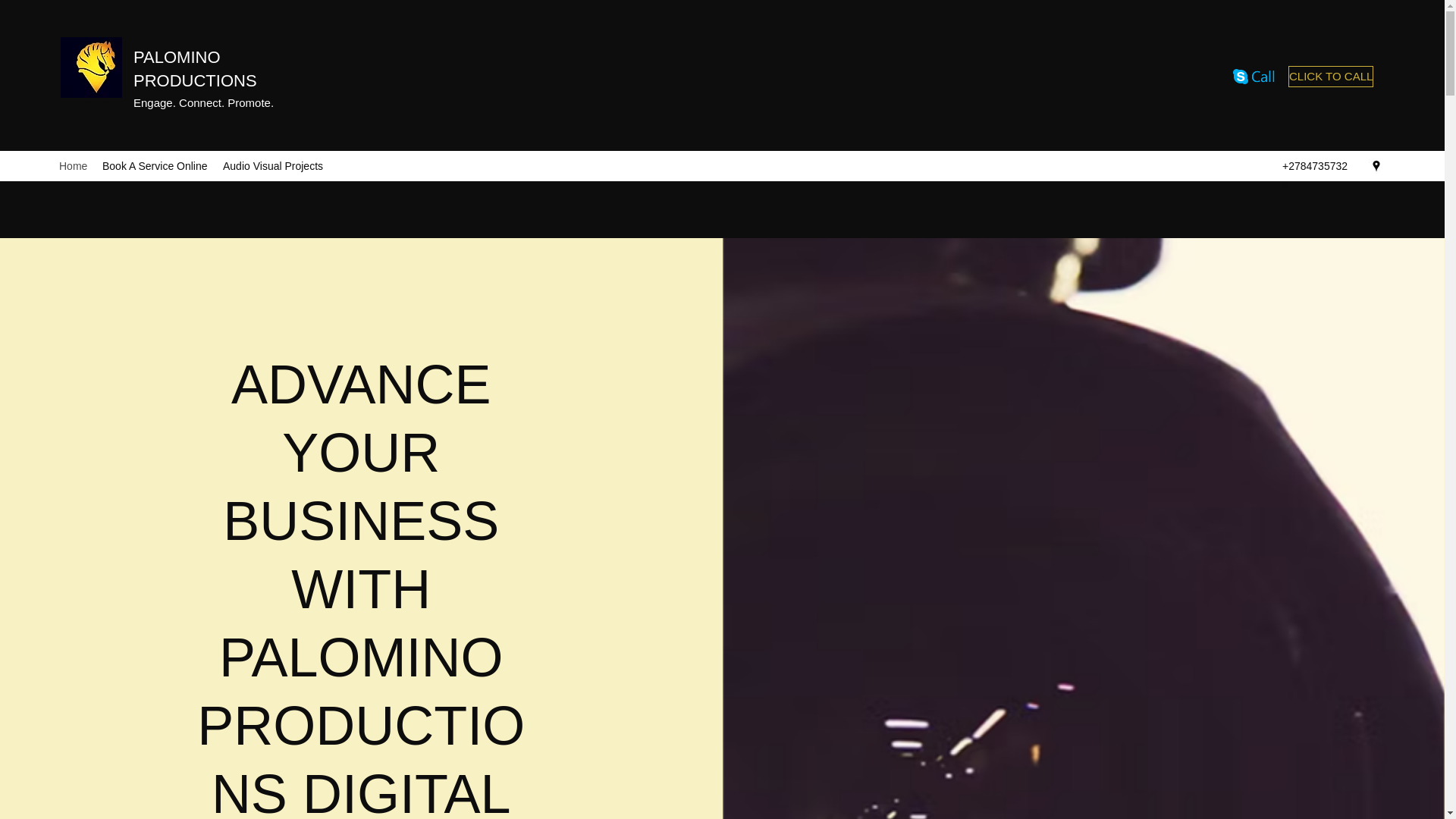 website screenshot of https://palominoprojects.net/