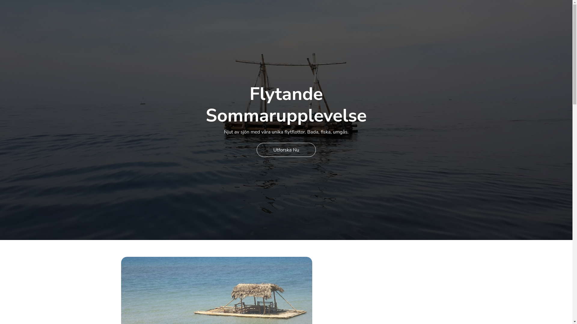 website screenshot of https://flytflotte.se/
