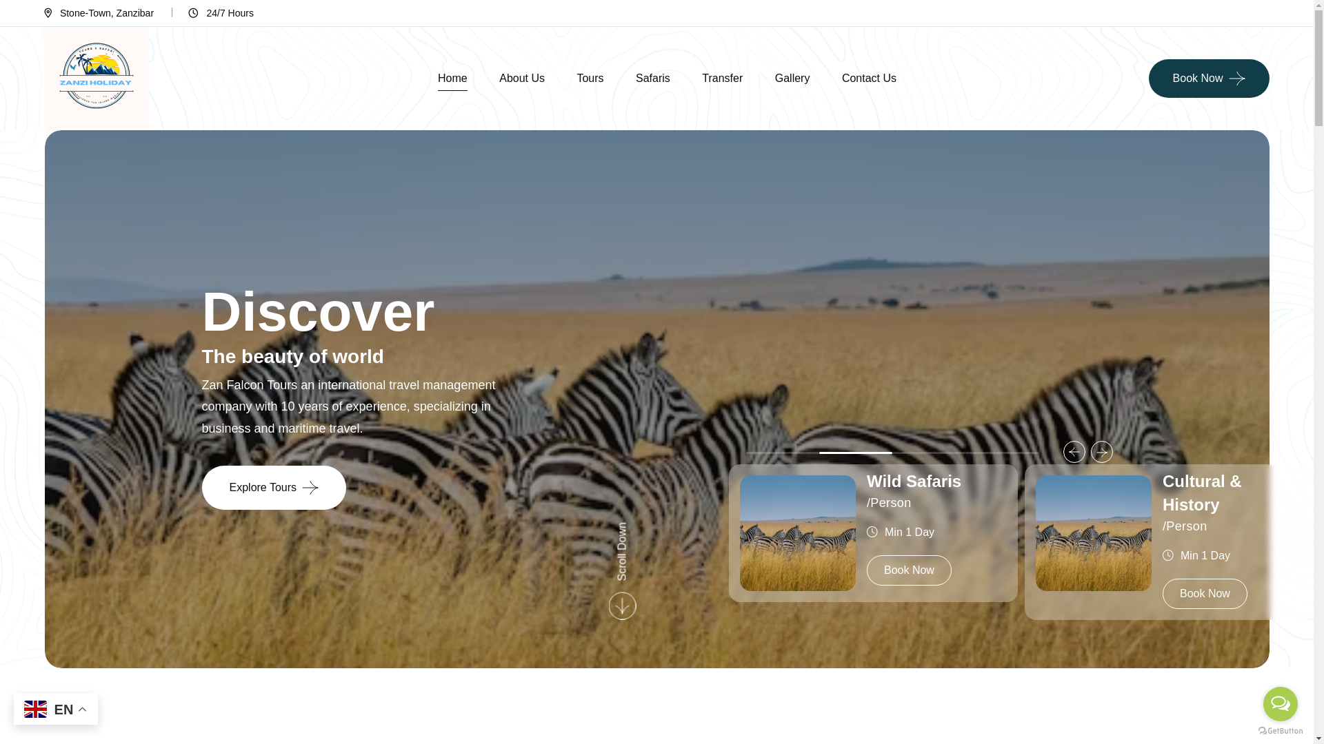 website screenshot of https://zanfalcontours.com/