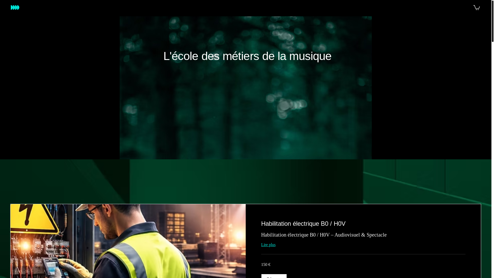 website screenshot of https://turnupformation.com/