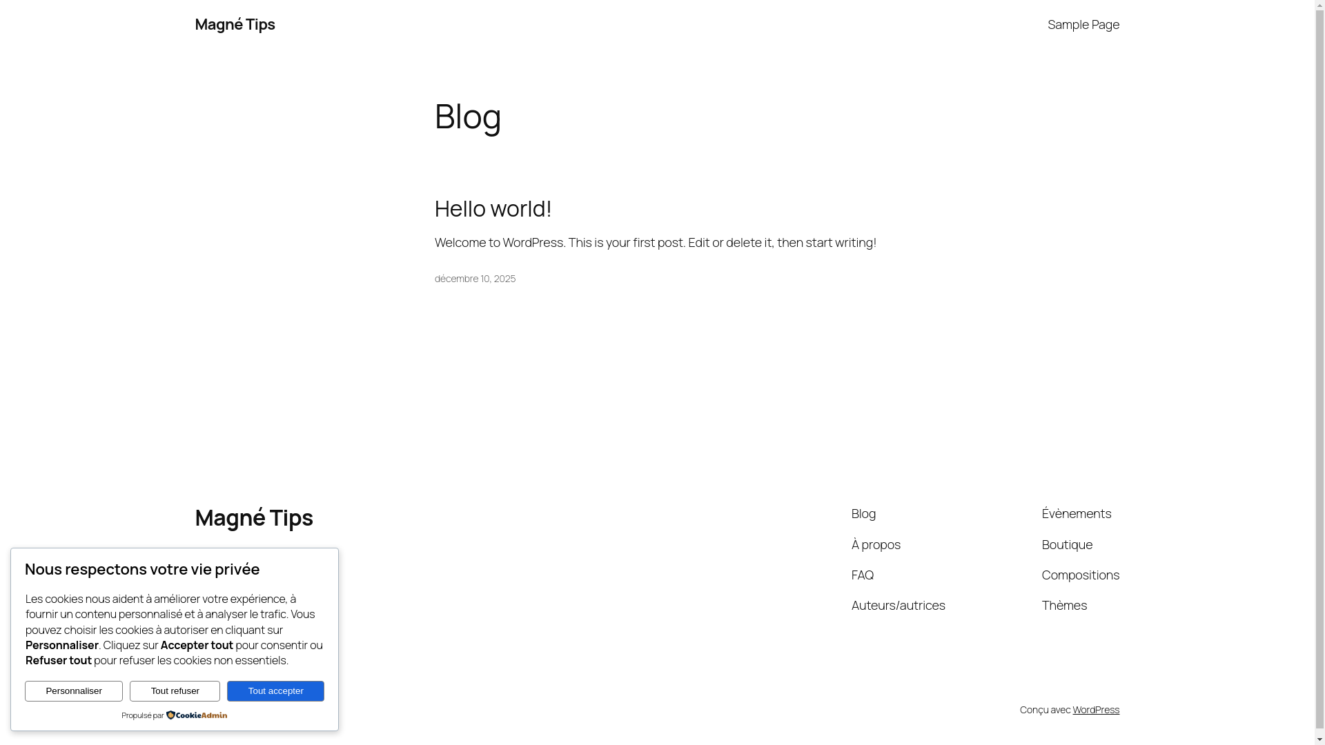 website screenshot of https://magnetips.fr/