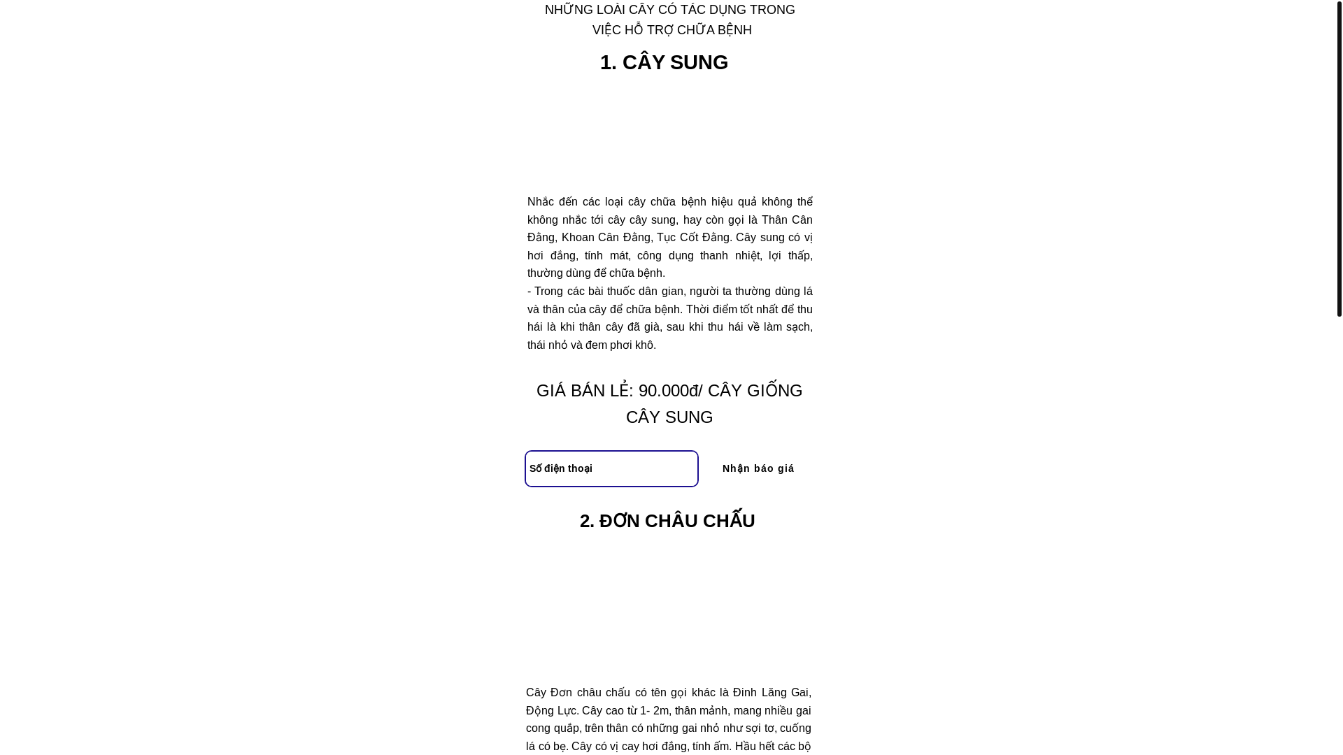 website screenshot of https://thaoduoccotricuctot.click/