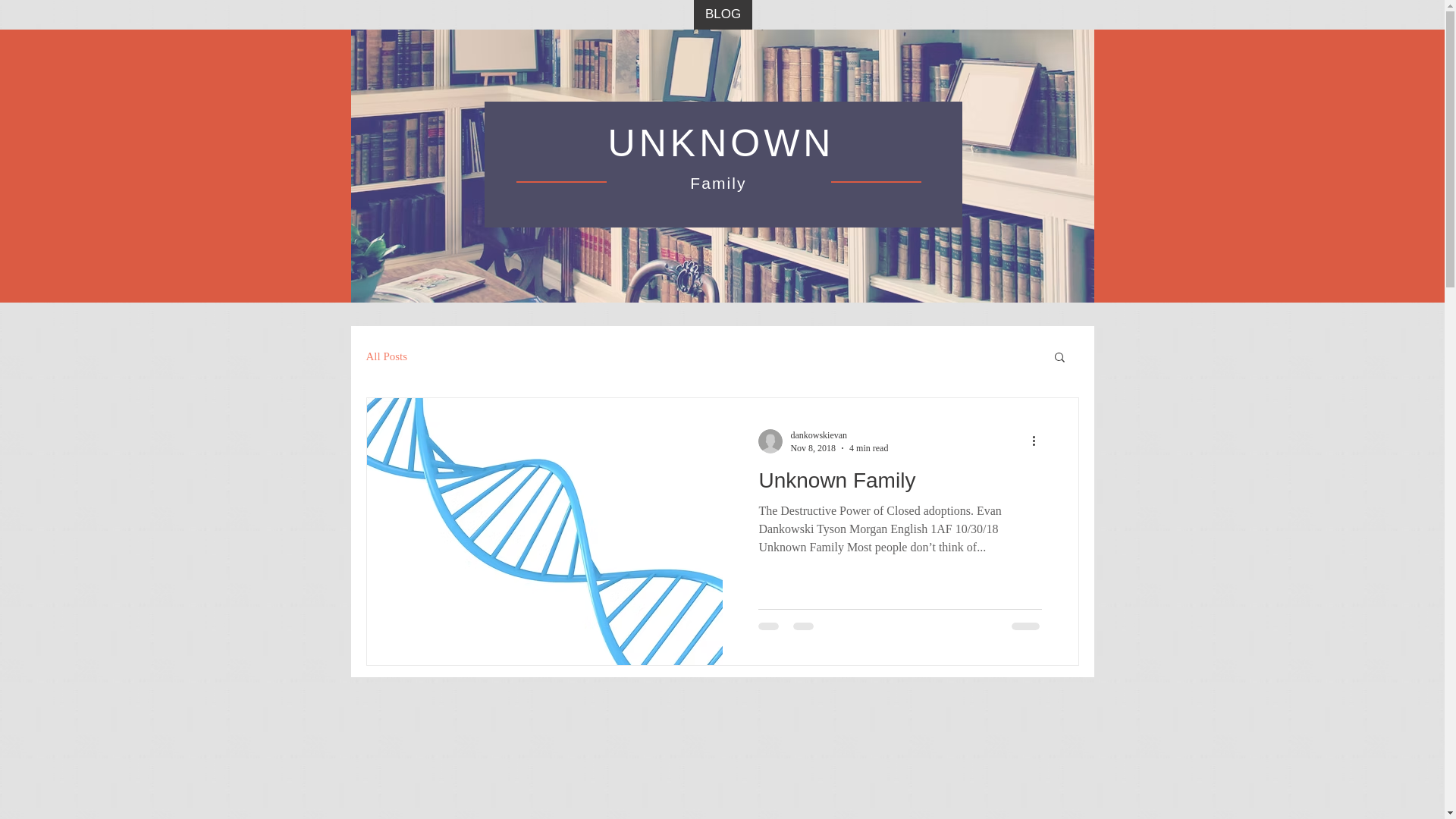 website screenshot of https://dankowskievan.com/