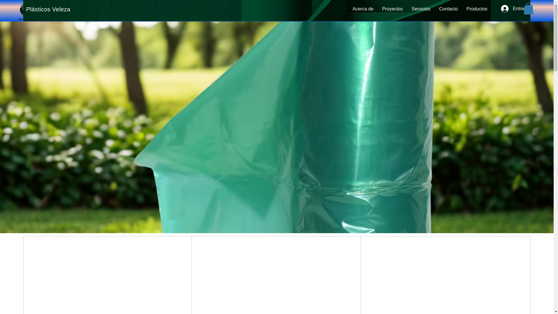 website screenshot of https://plasticosveleza.com/