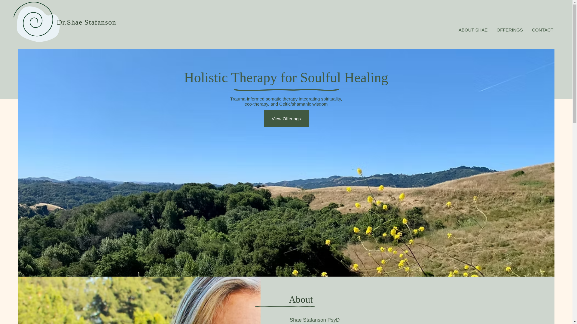 website screenshot of https://drshaestafanson.com/