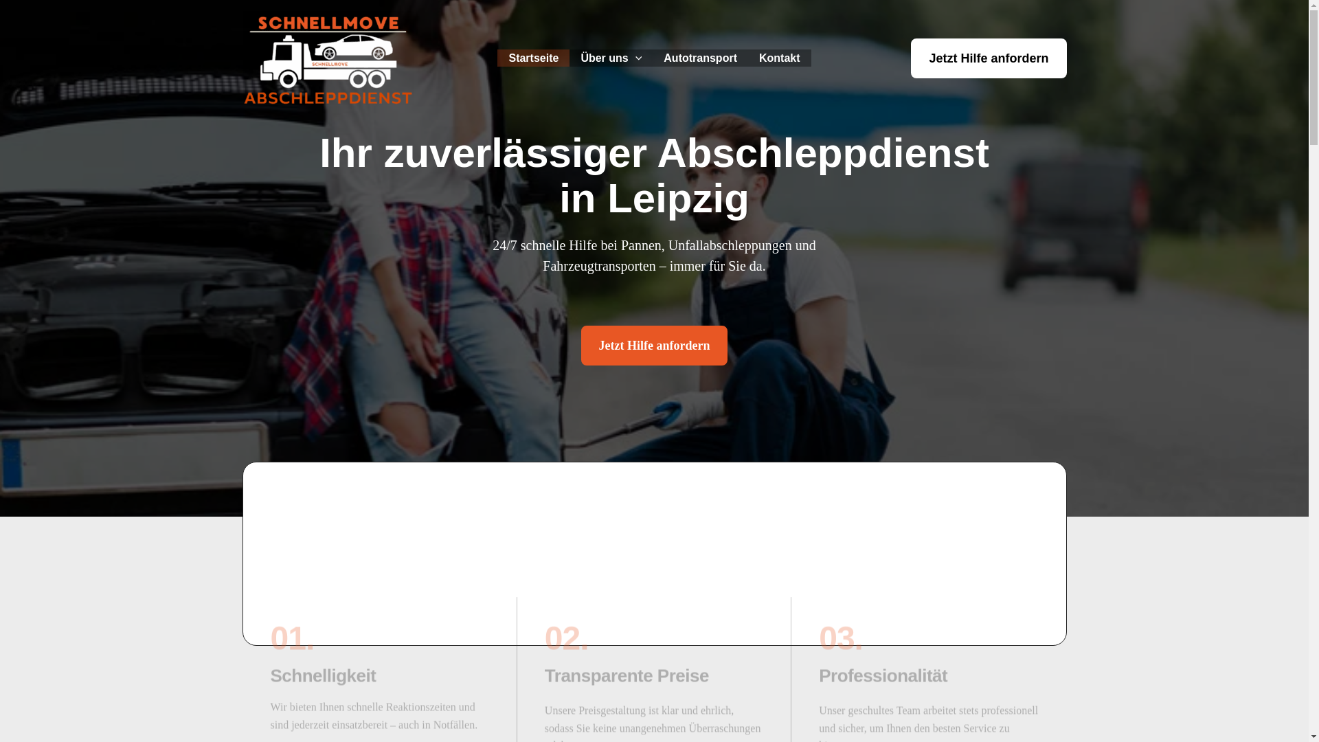 website screenshot of https://schnellmove.de/