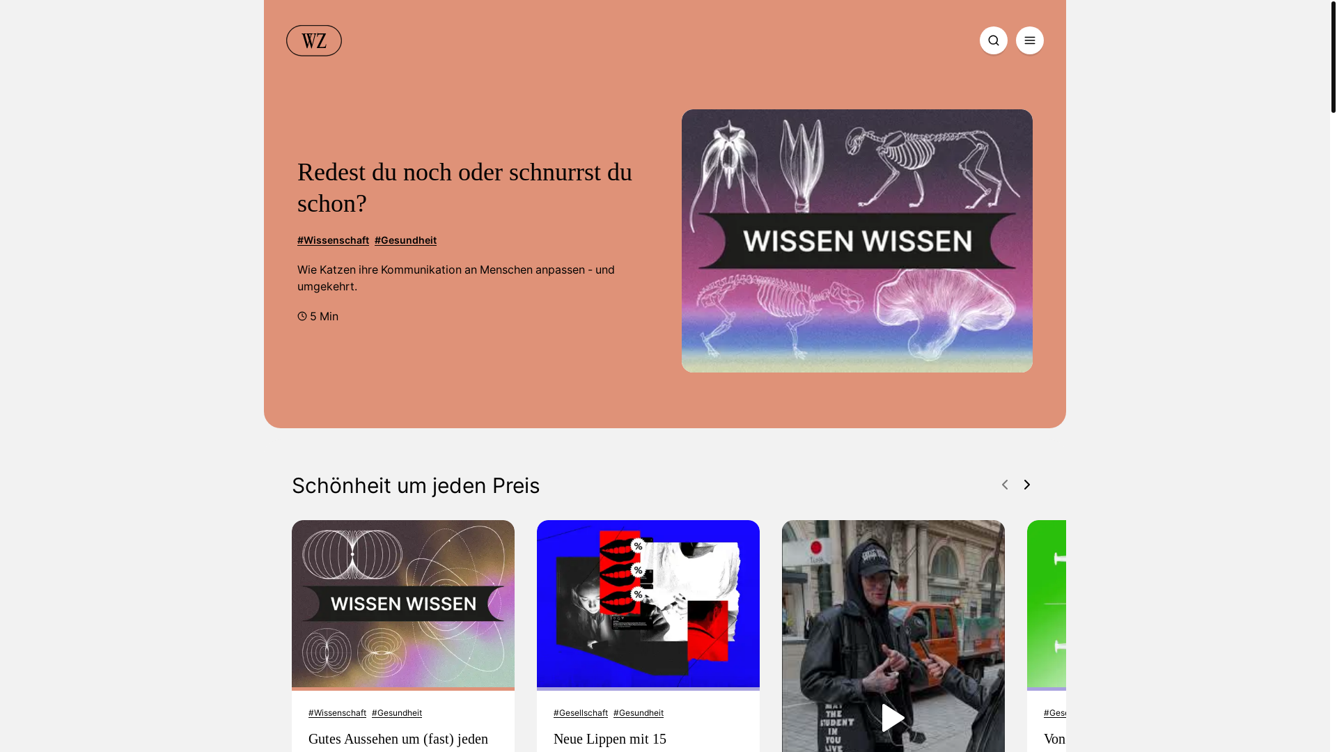 website screenshot of https://www.wienerzeitung.at/